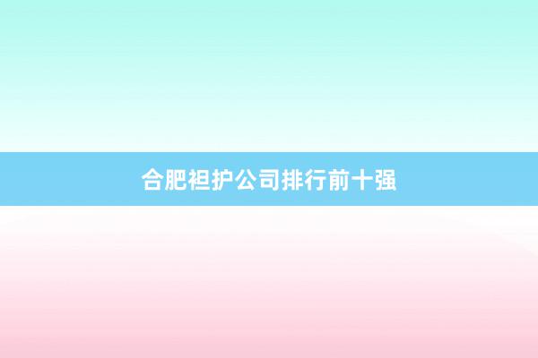 合肥袒护公司排行前十强