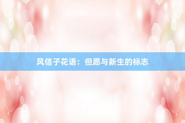 风信子花语：但愿与新生的标志
