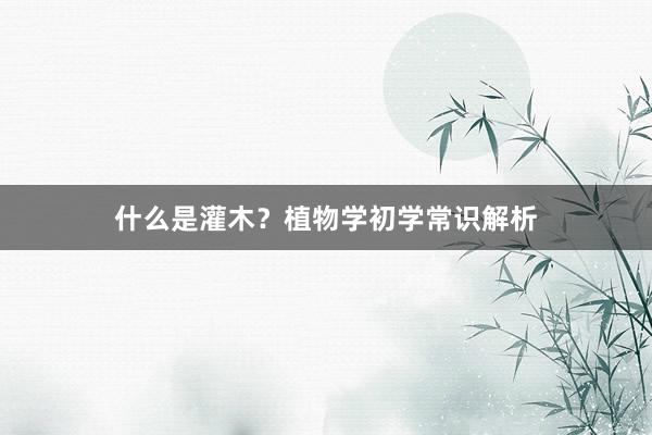 什么是灌木？植物学初学常识解析