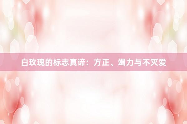 白玫瑰的标志真谛：方正、竭力与不灭爱