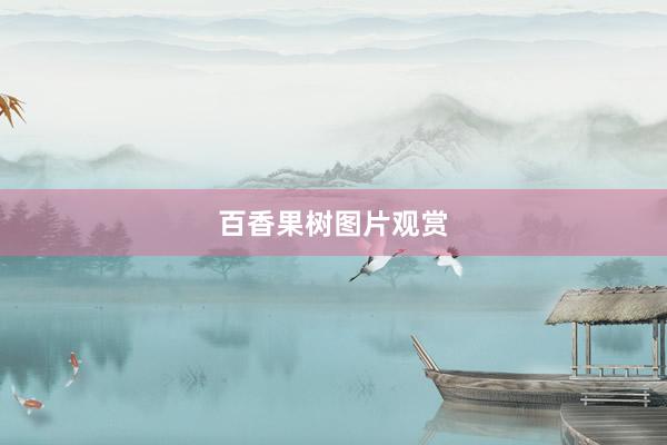 百香果树图片观赏