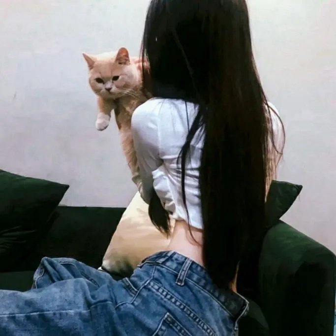 重生八零之上门女婿狩猎发家