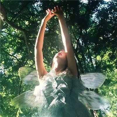 给点阳光就灿烂